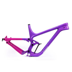 Beschikbaar Geschilderd Enduro MTB Frame P9