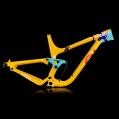 Beschikbaar Geschilderd Enduro MTB Frame P9