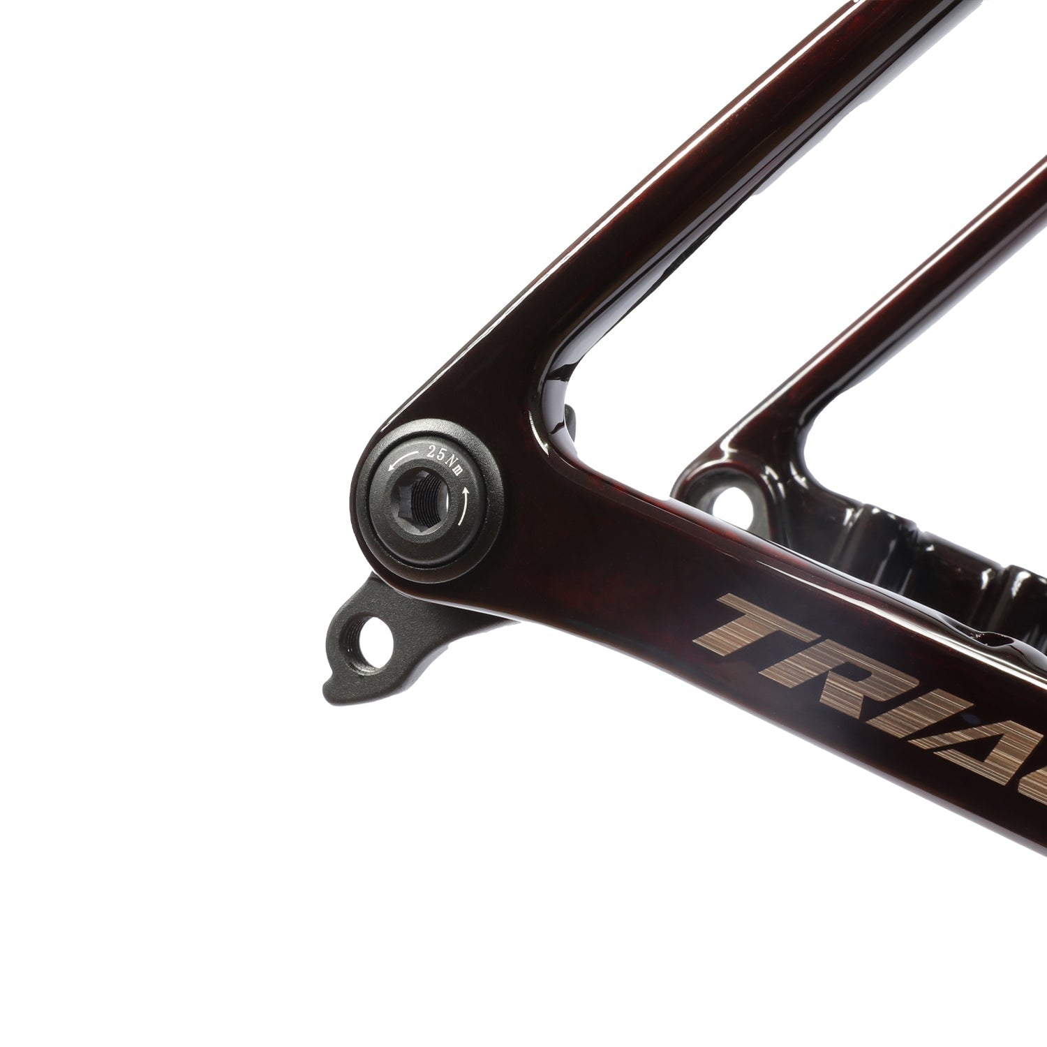 ICAN Flyee road bike disc frame