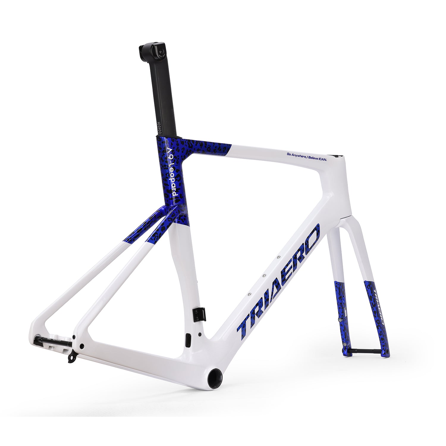 ICAN A9 UCI ROAD BIKE DISC FRAME