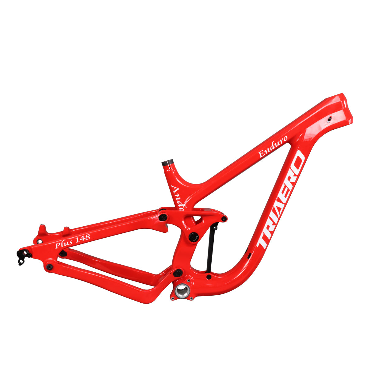 Beschikbaar Geschilderd Enduro MTB Frame P9