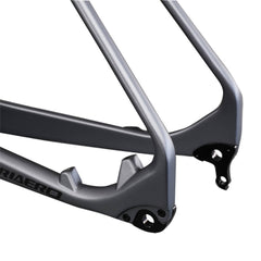 29er Carbon Hardtail Frame M17